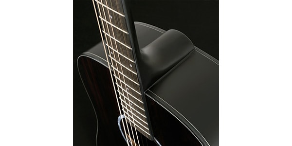 WASHBURN ( ウァッシュバーン )  / DEEP FOREST　EBONY D画像5