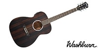 WASHBURN / DEEP FOREST　EBONY FE