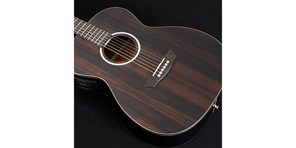 WASHBURN / DEEP FOREST　EBONY FE画像3