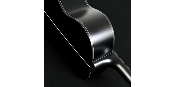 WASHBURN / DEEP FOREST　EBONY FE画像4