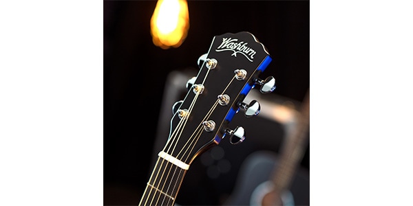 WASHBURN / DEEP FOREST　EBONY FE画像6