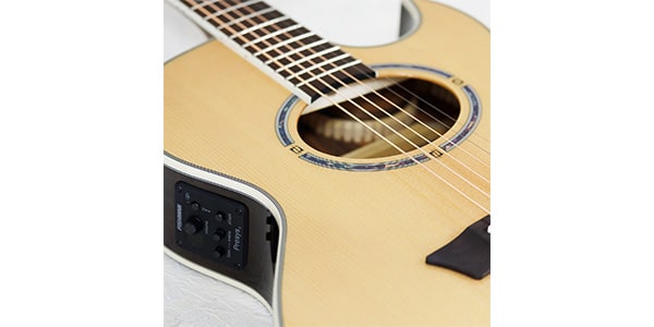WASHBURN / EA20S-NUNO BETTENCOURT画像3