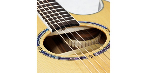 WASHBURN / EA20S-NUNO BETTENCOURT画像4