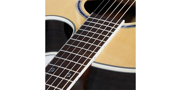 WASHBURN / EA20S-NUNO BETTENCOURT画像5