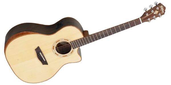 WASHBURN / G20SCE画像2