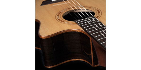 WASHBURN / G20SCE画像5