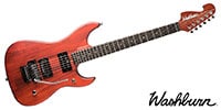 WASHBURN / N24PSVINTAGEK-D-U Padauk Vint. Matte