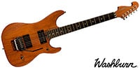 WASHBURN / N4EPNM-D-U Natural