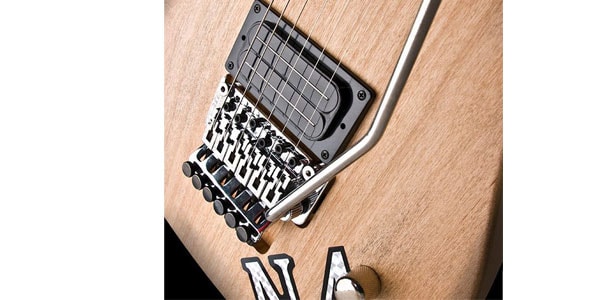 WASHBURN ( ウァッシュバーン )  / N4VINTAGE-D-U Natural distressed画像2