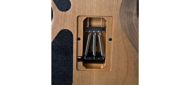 WASHBURN ( ウァッシュバーン )  / N4VINTAGE-D-U Natural distressed画像3