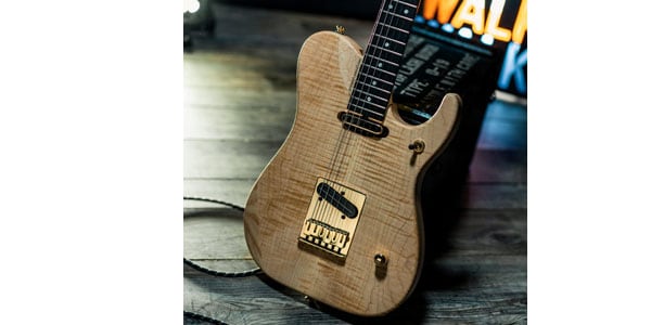 WASHBURN / NELEDLX-D-U Natural Matte画像3