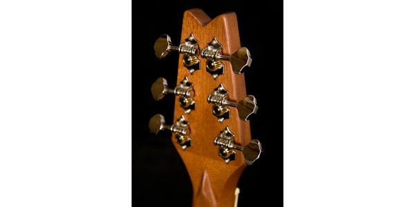 WASHBURN ( ウァッシュバーン ) RO10SK-A-U 送料無料 | サウンド