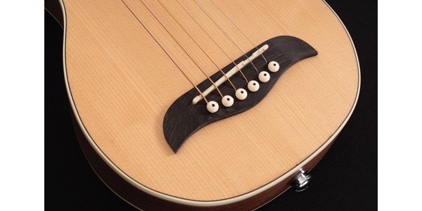 WASHBURN ( ウァッシュバーン ) RO10SK-A-U 送料無料 | サウンド