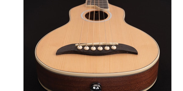 WASHBURN / RO10STRK-A-U画像2
