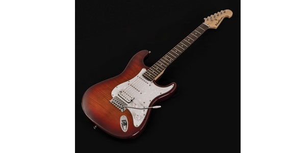 WASHBURN / SDFSB-U Sunburst画像2