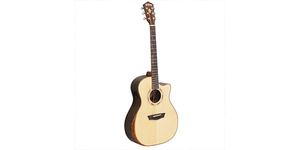 WASHBURN / G20SCE画像2