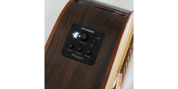WASHBURN / G20SCE画像4