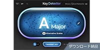 WAVES Key Detector ダウンロード納品