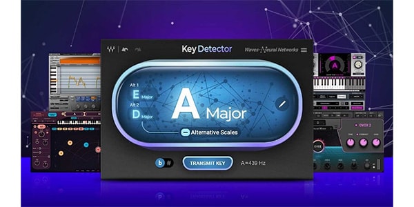 WAVES / Key Detector Download Delivery画像2