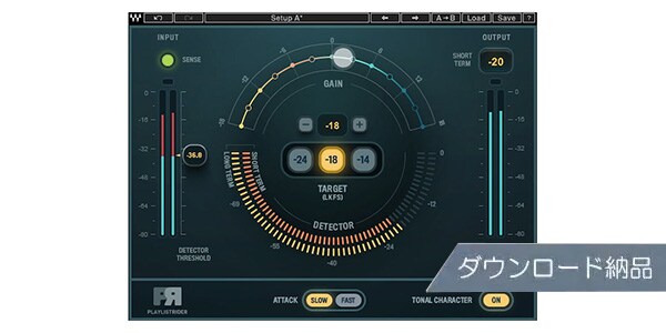 WAVES ( ウェーブス )  / Playlist Rider ダウンロード納品