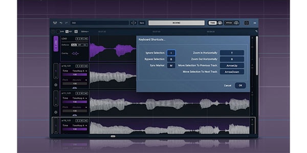WAVES ( ウェーブス )  / Sync Vx ダウンロード納品画像2