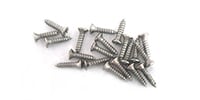 WD Music Products / WD #4 Pickguard Screws 20-Pack, Nickel