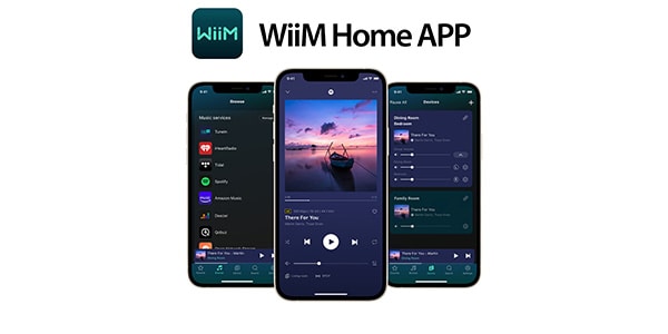 WiiM / ASR003画像17