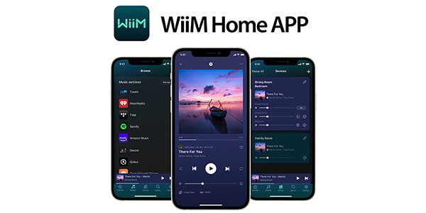 WiiM / WIIMAMPGY画像11