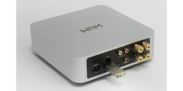 WiiM / WIIMAMPSV画像7