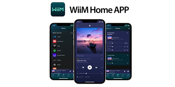 WiiM / WIIMMINI画像10