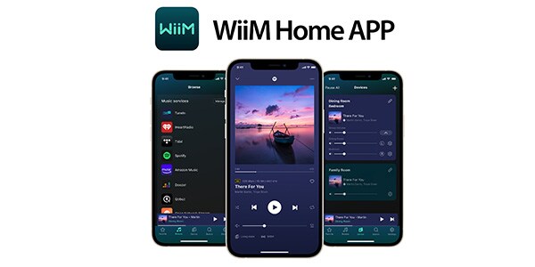 WiiM ( ウィーム )  / WiiM PRO コンパクト オーディオ ストリーマー画像11