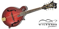  WFM-16E Trans Red　フラットマンドリン