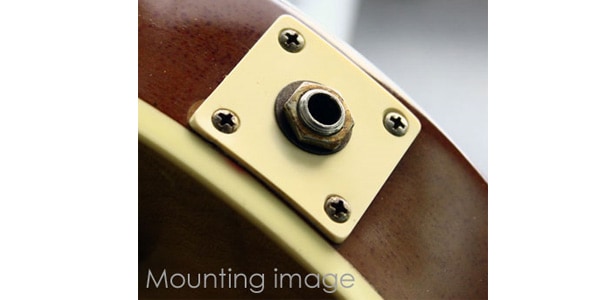 WIZZ PICKUPS / Wizz PCGP Jack Plate 画像2