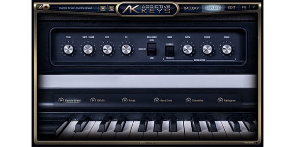 XLN AUDIO ( エックスエルエヌオーディオ )  / Addictive Keys: Electric Grand 簡易パッケージ納品画像3