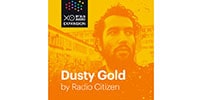 XLN AUDIO / XOpak Dusty Gold by Radio Citizen 簡易パッケージ納品