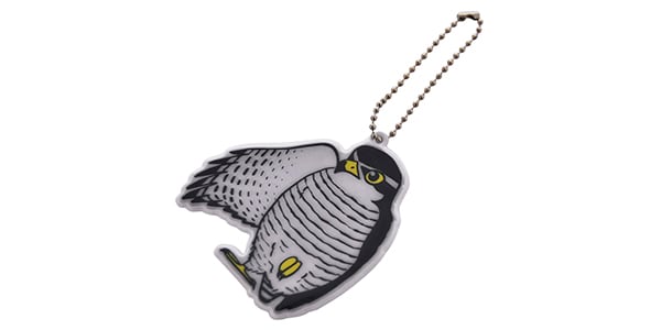 日本野鳥の会 / Reflector goshawk.