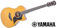 YAMAHA / AC1M VN