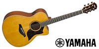 YAMAHA / AC3M ARE VN