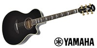 YAMAHA / APX1000 MBL