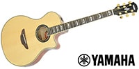 YAMAHA / APX1000 NT