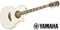 YAMAHA / APX1000 PW