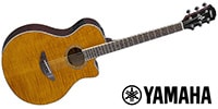 YAMAHA / APX600FM AM
