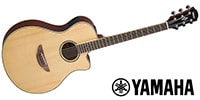 YAMAHA / APX600 NT