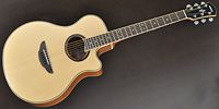 YAMAHA / APX700II NT