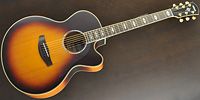 YAMAHA / CPX1000 BS