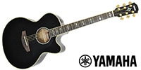 YAMAHA / CPX1000 TBL