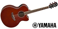 YAMAHA / CPX600 RTB