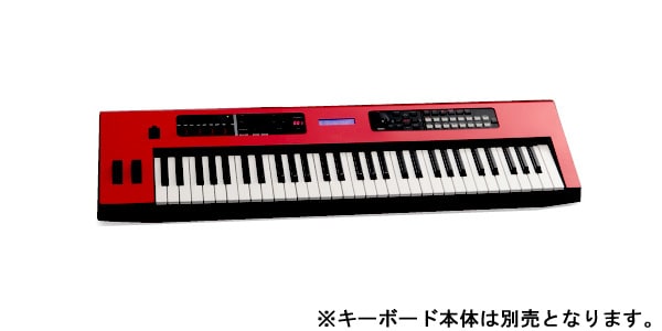 YAMAHA/CST-MX49R