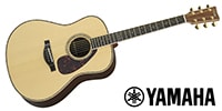 YAMAHA / LL56 CUSTOM ARE