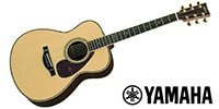 YAMAHA / LS56 Custom ARE